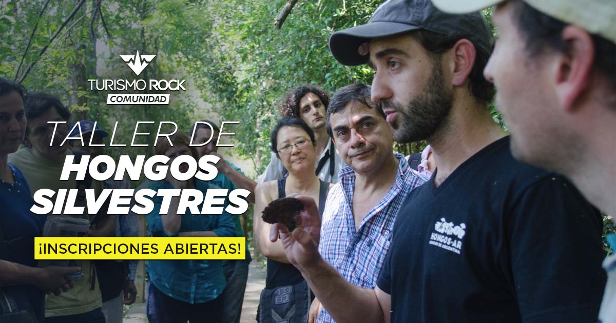 Descubrí el mundo de los hongos de la zona en un nuevo taller en Esquel
